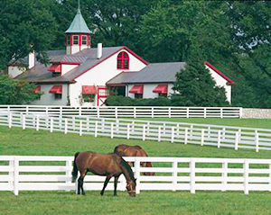 horse farms